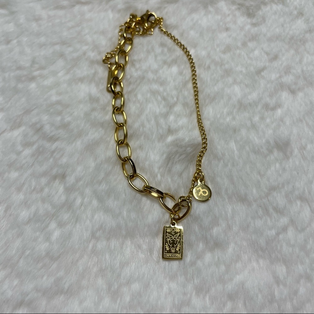 Capricorn, Pisces Bracelet_Signs and Symbols